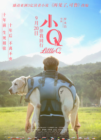 全集在线观看